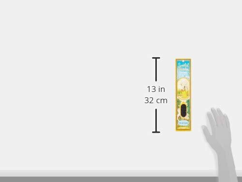 Radhe Flor DE Canela Stick Incienso Scented Garden, No aplicable