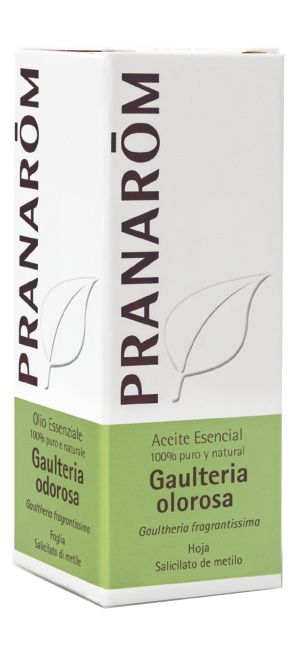 Aceite esencial de gaulteria olorosa 10 ml Pranarom – alivio muscular natural
