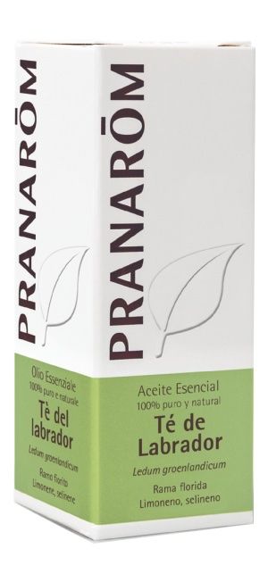 Aceite esencial de té de Labrador 5 ml – Pranarom, calidad premium