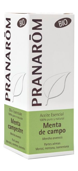 Aceite esencial de menta de campo orgánico, aroma revitalizante, 10 ml