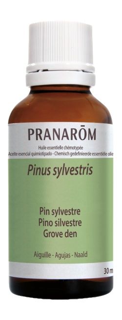 Aceite esencial de pino silvestre Pranarom 30 ml, aroma balsámico