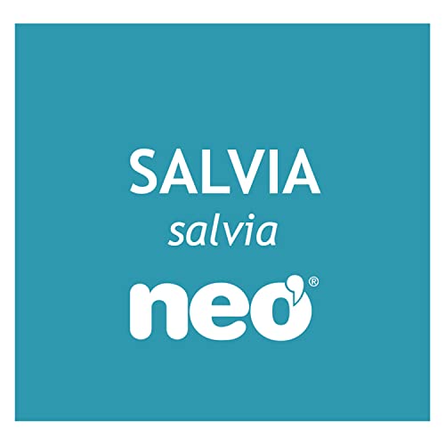 NEO | Extracto Seco de Hojas de Salvia | 45 Cápsulas | 200 mg | Ayuda a Mejorar los Síntomas de la Menopausia | Suplemento Alimenticio Natural con Ácido Rosmarínico