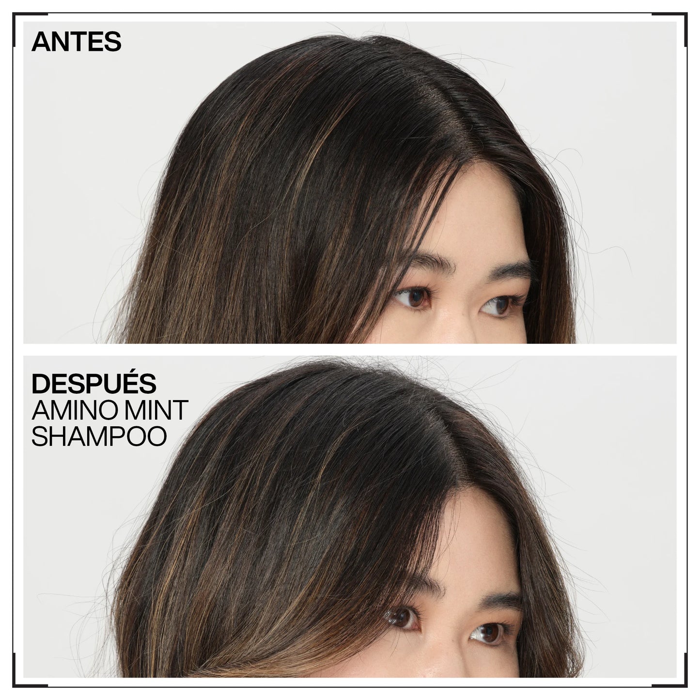 Champú Amino Mint Redken