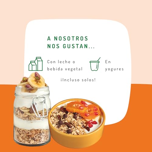 El Granero Integral - Muesli Chocolate Sin Gluten Bio - 375 g - Copos avena - Fuente de Fibra y Nutrientes Esenciales - Mejora la Salud Intestinal - Ideal para el Desayuno - Apto para Veganos