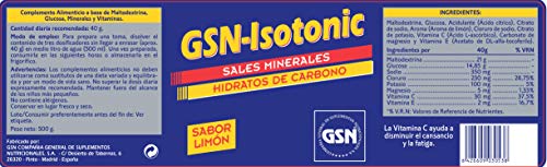 GSN ISOTONIC LIMON 500 gr