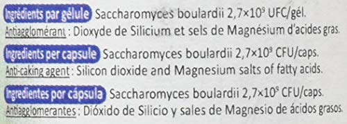Probioticos San Ferment Saccharomyces Boulardi - 60 Cápsulas