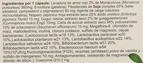 Dis Regulcol - 100 gr, 100 gramo, 1