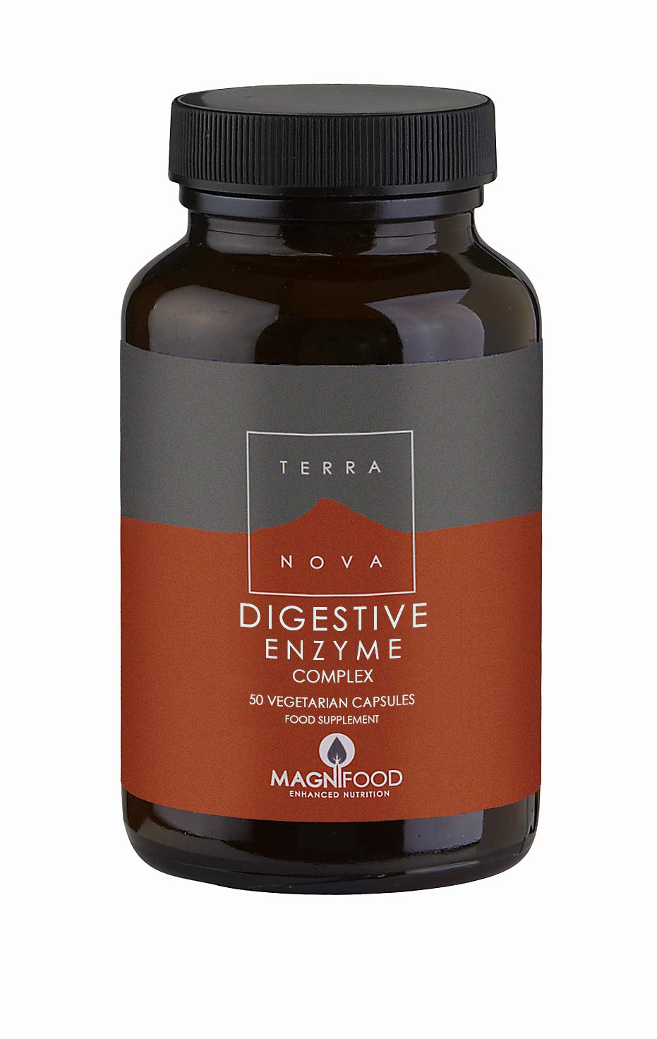 ijsalut - enzimas digestivas complex 50c terra nova 50 capsulas