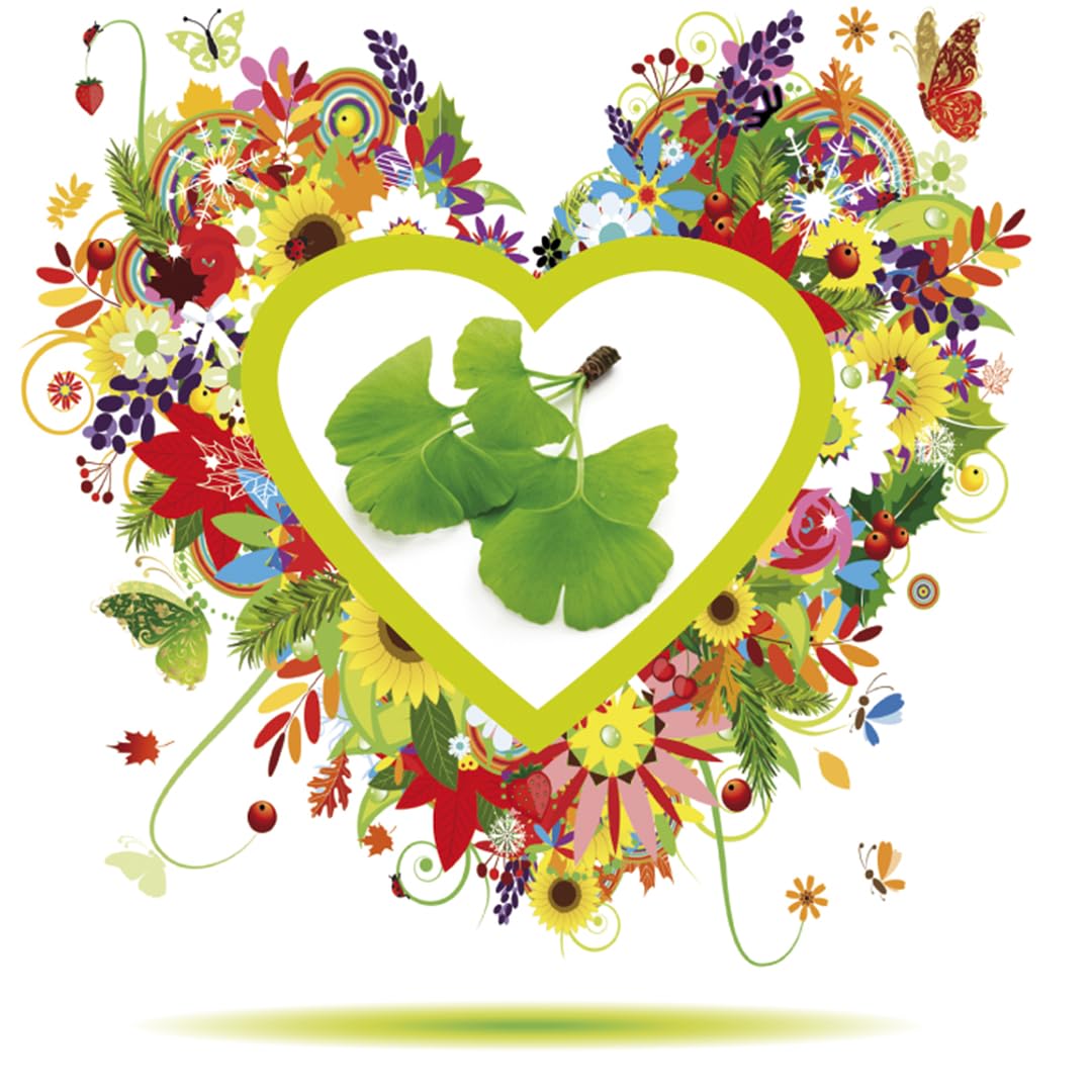 HERBODIET GINKGO 50 ml