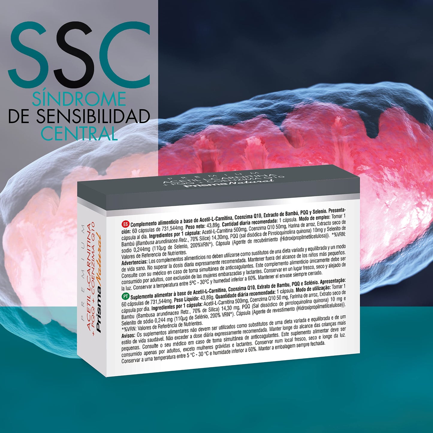 Prisma Natural Acetil L-Carnitina+Ppq+Q10 60Cap, 731.544mg