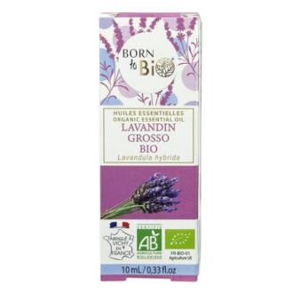 LAVANDIN GROSSO aceite esencial organico 10 ml BIO