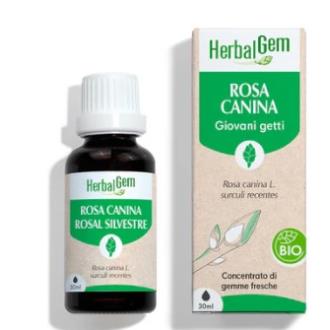 ESCARAMUJO 30 ml BIO