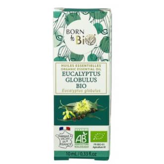 EUCALYPTUS GLOBULUS aceite esencial organico 10 ml BIO
