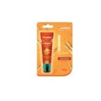 BALSAMO LABIAL NUTRITIVO gel 10 gr.