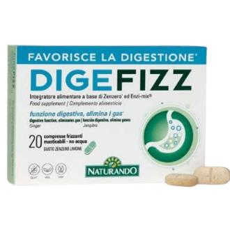 DIGEFIZZ 2x15comp.