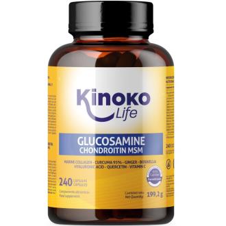 GLUCOSAMINA CONDROITINA con MSM 240 cap.