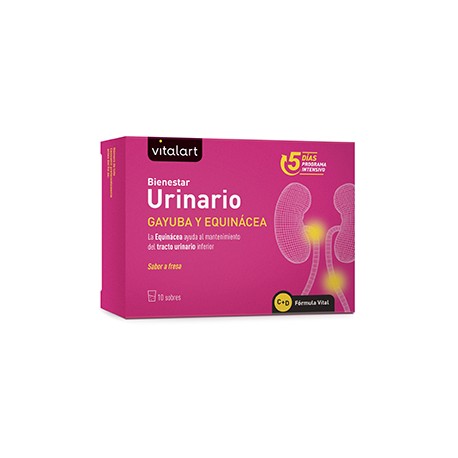 VITALART BIENESTAR URINARIO 10 sobres