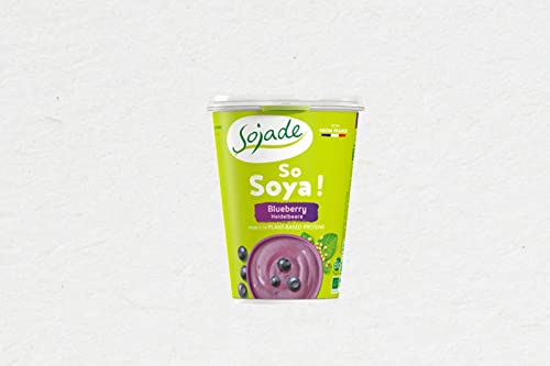 Sojade Yogurt Soja Arandanos 400G Bio Sojade 1 Unidad 400 g