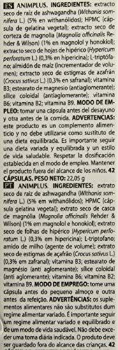 Intersa Complemento Alimenticio - 200 gr