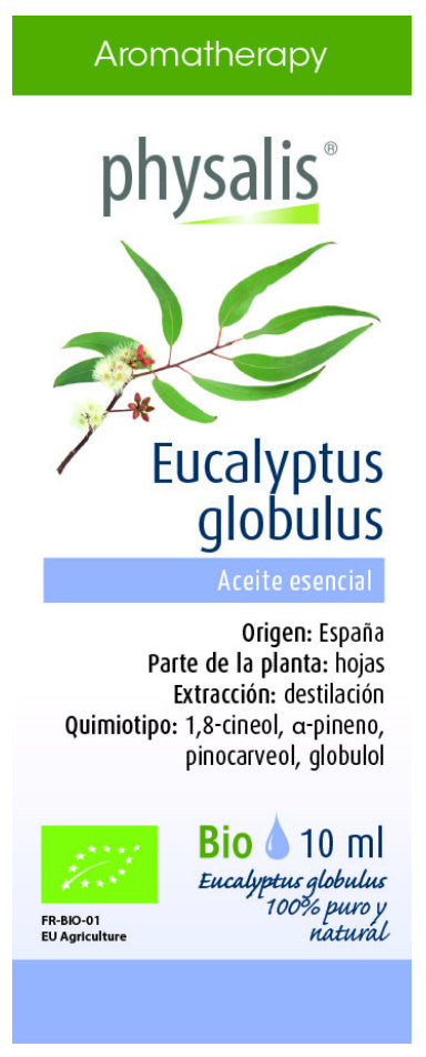 Aceite esencial de eucalipto globulus 10 ml – aroma natural y revitalizante