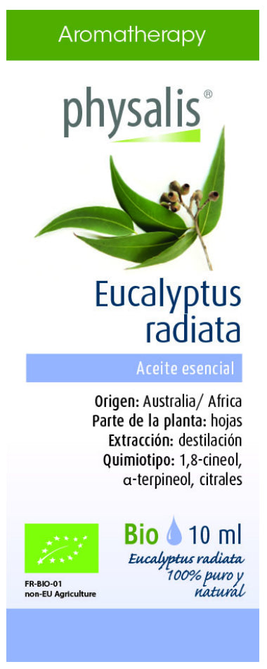 Aceite esencial de eucalipto radiata 10 ml – Physalis, alivia la respiración