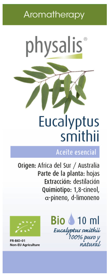 Aceite esencial de eucalipto Smithii 10 ml, aroma dulce