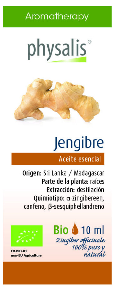 Aceite esencial de jengibre puro 10 ml Physalis aroma cálido