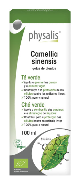 Tintura de Té Verde Physalis 100ml Extracto Natural Quema Grasa