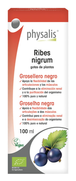 Tintura de Grosellero Negro Physalis 100 ml Extracto Natural para Articulaciones