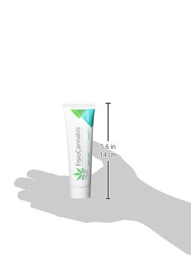 DEITERS - FisioCannabis 60 ml, Cremagel, Gel Recuperador Muscular, Pomada Antiinflamatoria, para Lesiones, Crema con Harpagofito, a base de CBD