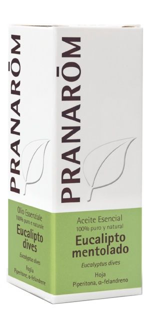 Aceite esencial de eucalipto mentolado Pranarom 10 ml - aroma refrescante