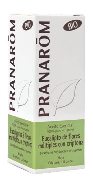 Aceite esencial de eucalipto múltiple con criptona bio 10 ml