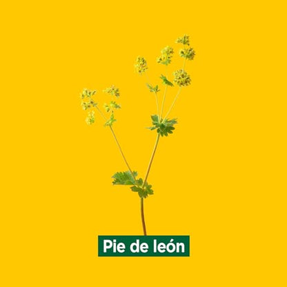 Ricola Caramelos - Stick 31.5 g, Sabor Menta Fuerte
