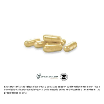 Nature Essential | Cardo Mariano Complex 9.825 mg | 60 Cápsulas | Favorece la Detoxificación del Hígado | Con Boldo, Alcachofa, Milenrama y Cúrcuma | Ayuda a la Digestión de Grasas