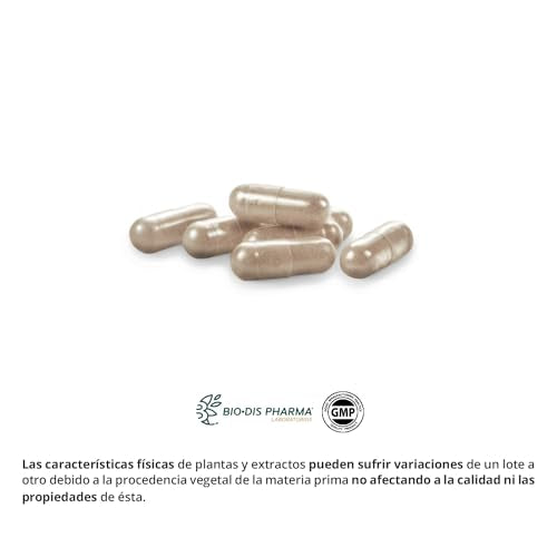 Nature Essential | Própolis Complex 1600 mg | 60 Cápsulas | Echinácea + Tomillo + Vitamina C | Ayuda a Reforzar el Sistema Inmune | Rico en Aminoácidos y Oligoelementos | 45 Días de Uso