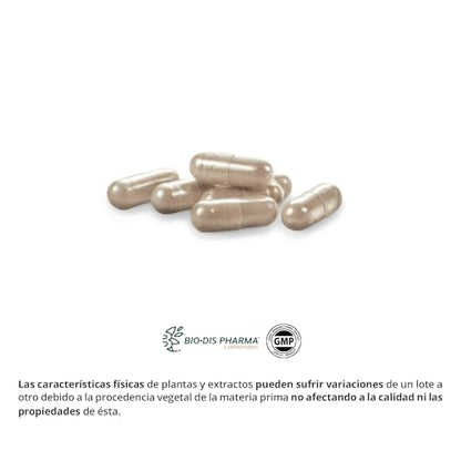 Nature Essential | Própolis Complex 1600 mg | 60 Cápsulas | Echinácea + Tomillo + Vitamina C | Ayuda a Reforzar el Sistema Inmune | Rico en Aminoácidos y Oligoelementos | 45 Días de Uso