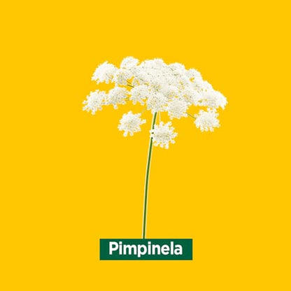 Ricola Caramelos - Stick 31.5 g, Sabor Limón Melisa