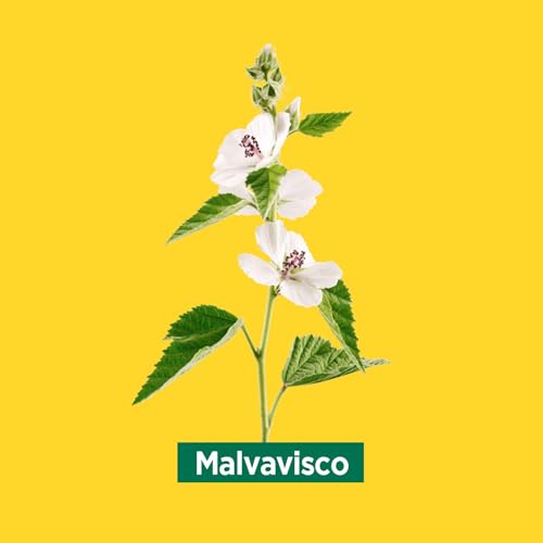 Ricola Caramelos - Stick 31.5 g, Sabor Limón Melisa