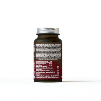 Mico Rei (Ganoderma lucidum) Hifas da Terra