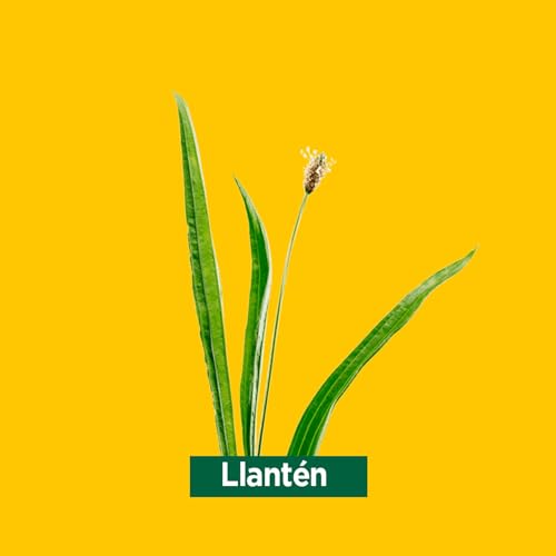 Ricola Caramelos - Stick 31.5 g, Sabor Limón Melisa