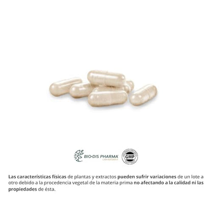 Nature Essential - Extracto de Garcinia Cambogia 800 mg - 60 Cápsulas - 60% Ácido Hidroxicítrico HCA - Ayuda al Sistema Inmunitario y Pérdida de Grasa