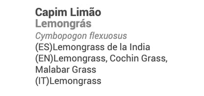 Terpenic Evo Lemongras Aceite Esencial Alimentario Bio - 500 ml