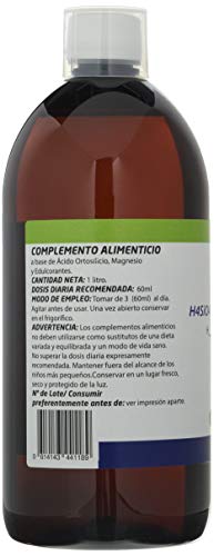 Besibz Densiort Acido Ortosilicico + Magnesio 1L. 1000 g