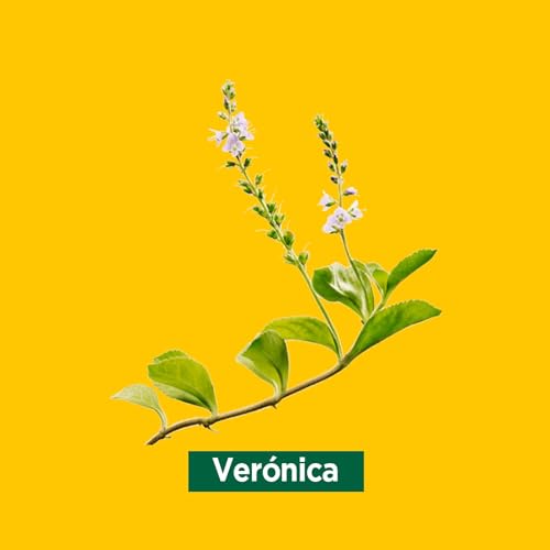 Ricola Caramelos - Stick 31.5 g, Sabor Menta Fuerte