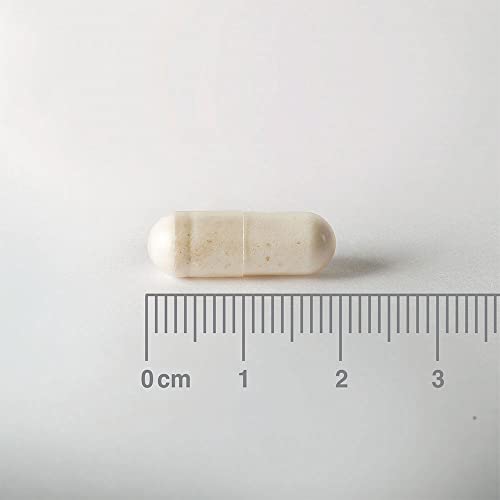 Lamberts Acidophilus Extra 10-60 Cápsulas