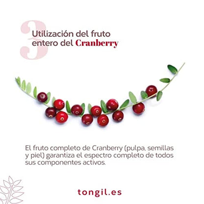 Cranberry Complex Estado Puro - Complemento Alimenticio de Arándano Rojo Americano con 9 cepas de probióticos, fibra prebiótica, D-manosa y Vitamina C - 30 Cápsulas Veganas de Tongil