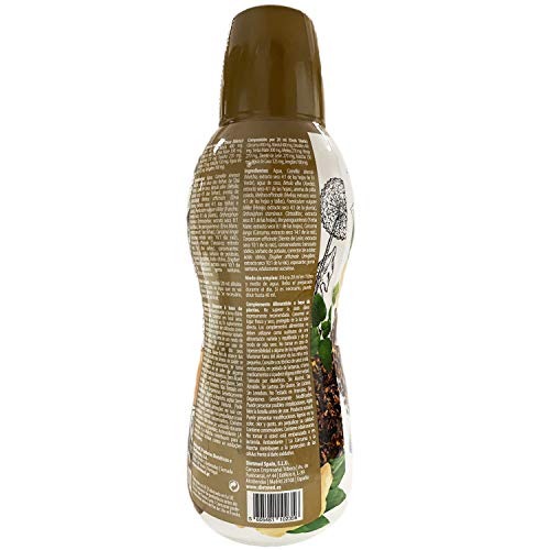 Dietmed | Drenalight Golden Depur - 600 ml Solución Oral | Cúrcuma, Jenjibre y Coco | 30 días