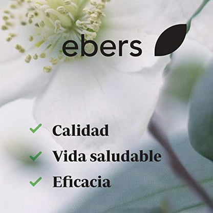 Ebers Stick Labial Propóleo y Cera Abeja FPS 15-4 gr, 4 gramo, 1