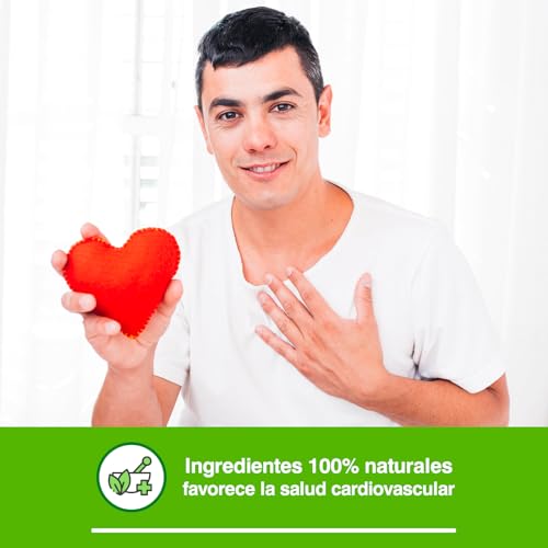 Soria Natural Olivo Extracto – Ayuda a controlar la Tensión – Múltiples Propiedades Hipotensoras – Salud Cardiovascular - 100% Puro - Botella de 50 ml