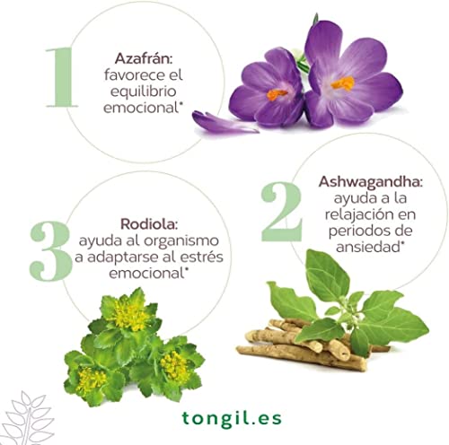 Nivelansi 80 Cápsulas con Ashwagandha y Rhodiola, Azafrán, 5HTP, Griffonia, Melisa, Vitamina B6 | Tensión Nerviosa y Ansiedad | Fórmula Equilibrada | Ansiedad Pastillas Naturales TONGIL